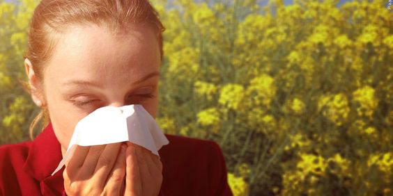 Managing Summer Allergies: Treatments and Tips